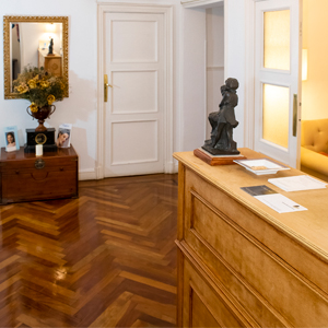 Recepción de Clínica Pujol y Plaza, Calle Zurbano 80